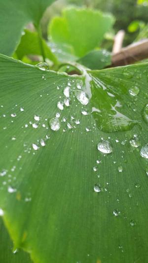 快播永不升级4.4版截图2