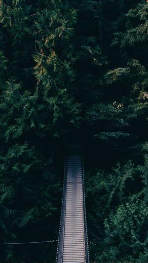 3d玉蒲团快播截图2