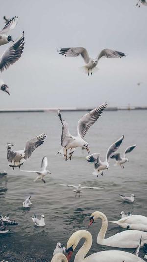 色天堂下载最新版下载截图2